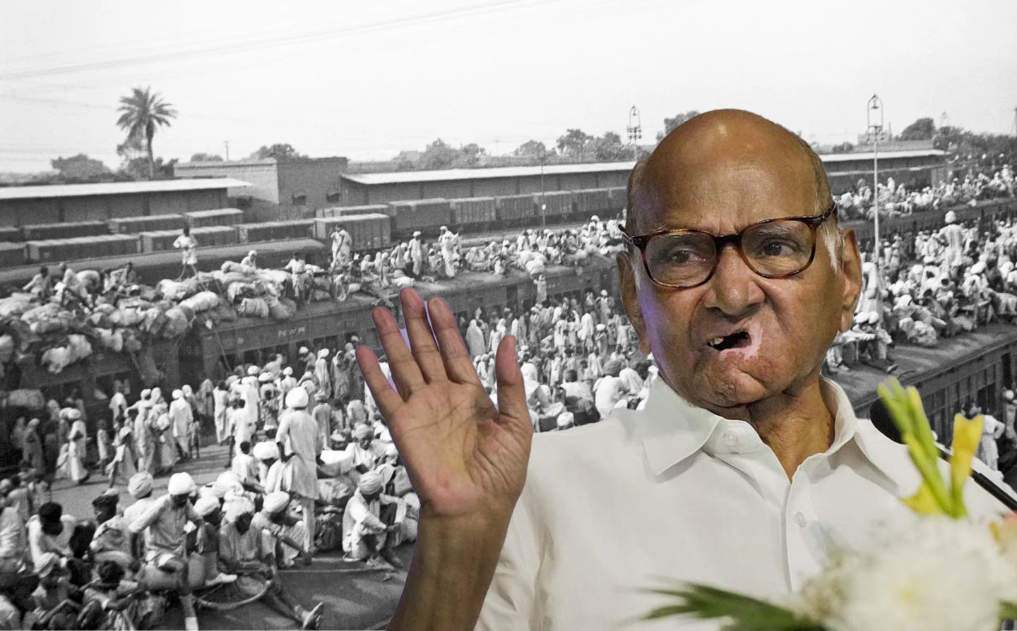 Sharad Pawar says he does not support teaching partition history to students
